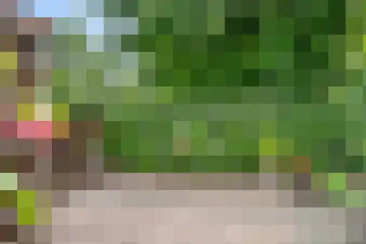 Johanniterlaan 15 Bennekom thumbnail 12