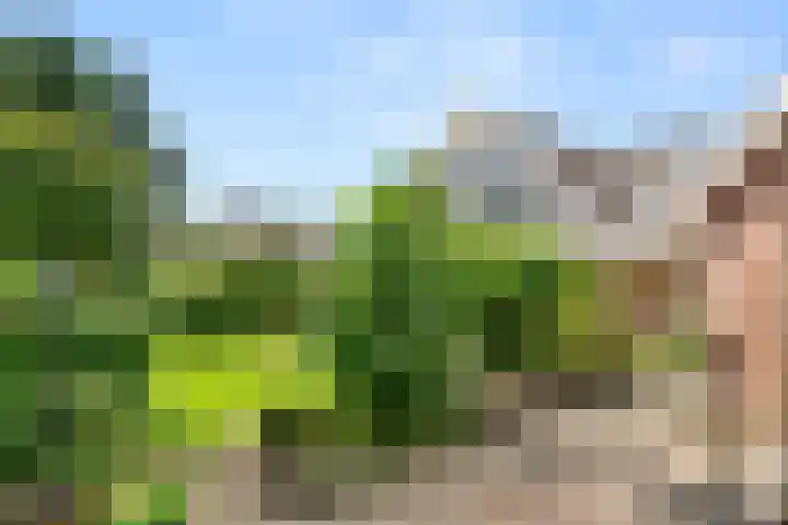 Johanniterlaan 15 Bennekom thumbnail 13