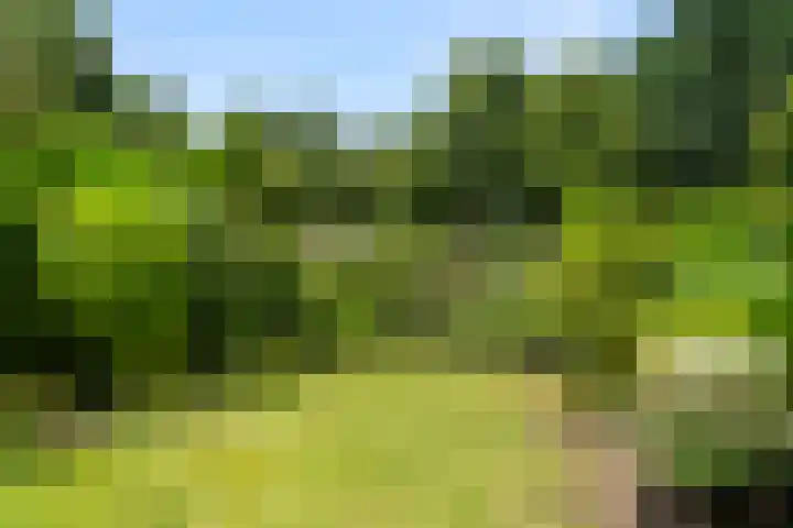 Johanniterlaan 15 Bennekom thumbnail 6