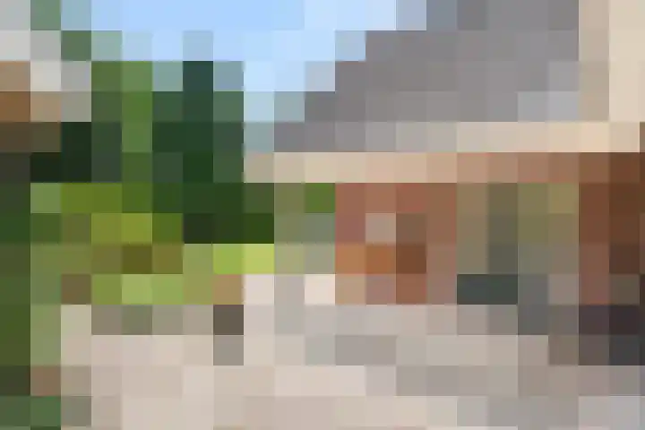 Johanniterlaan 15 Bennekom thumbnail 9