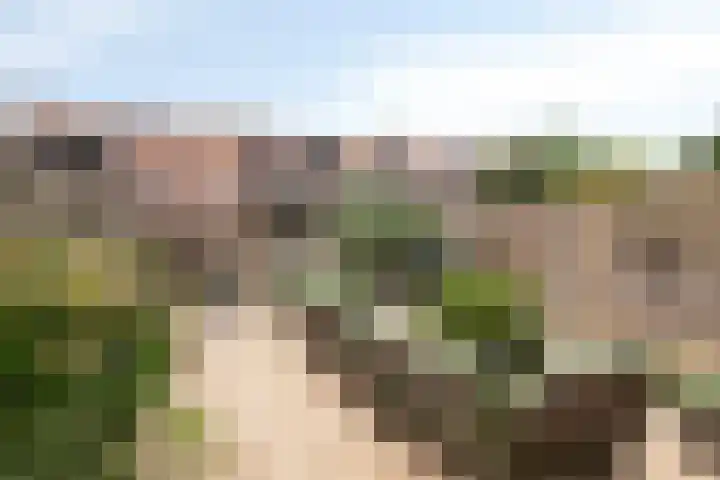 Johanniterlaan 16 Harderwijk thumbnail 22
