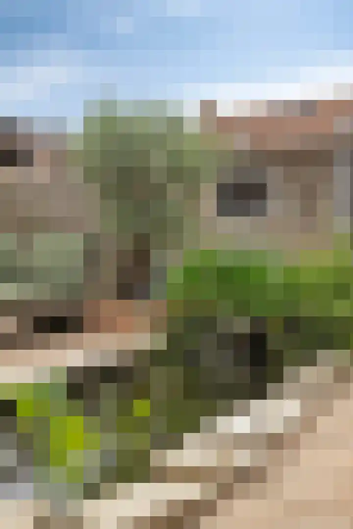 Johanniterlaan 16 Harderwijk thumbnail 23