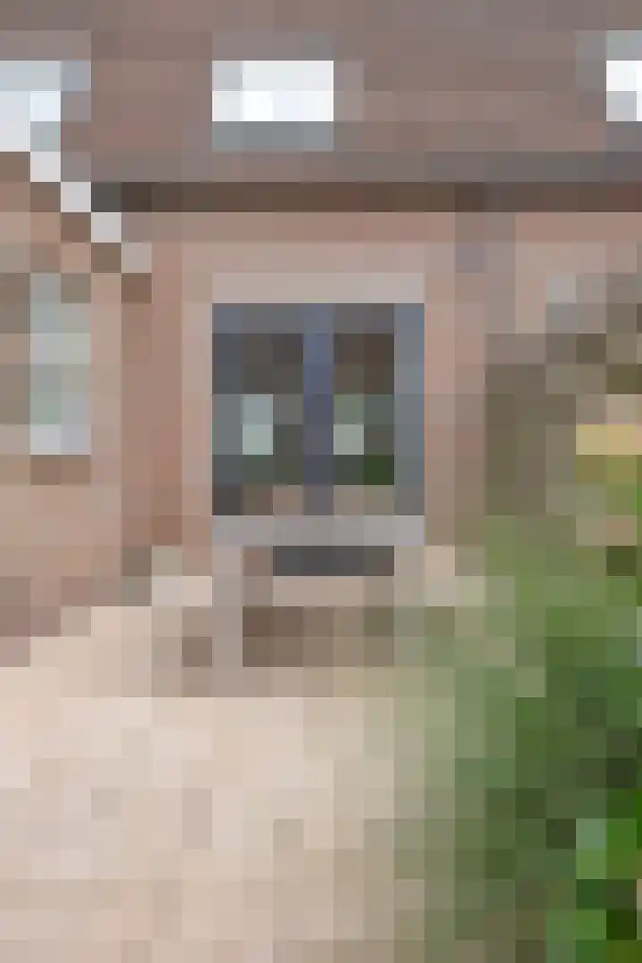 Johanniterlaan 16 Harderwijk thumbnail 24
