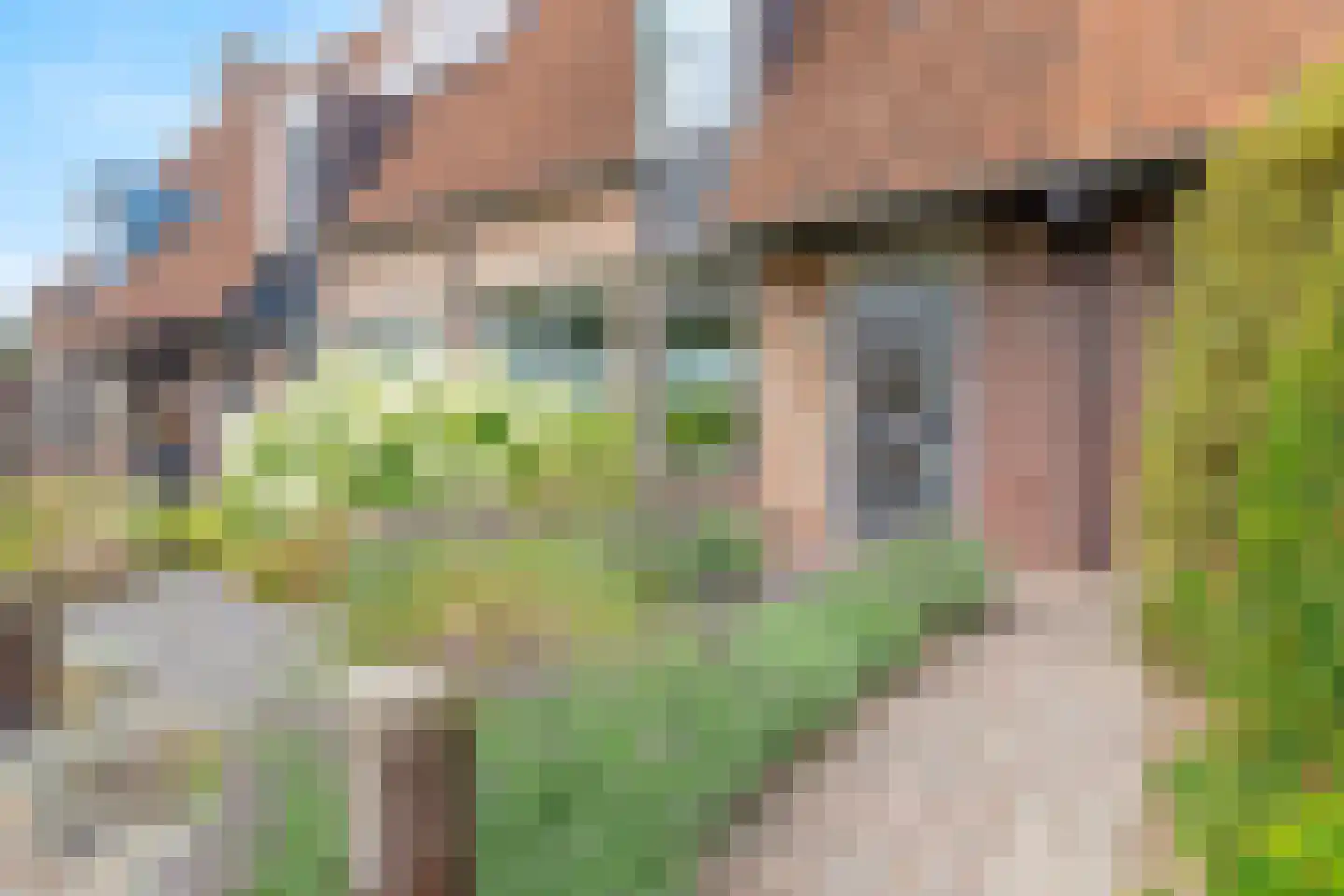 Johanniterlaan 16 Harderwijk thumbnail 6