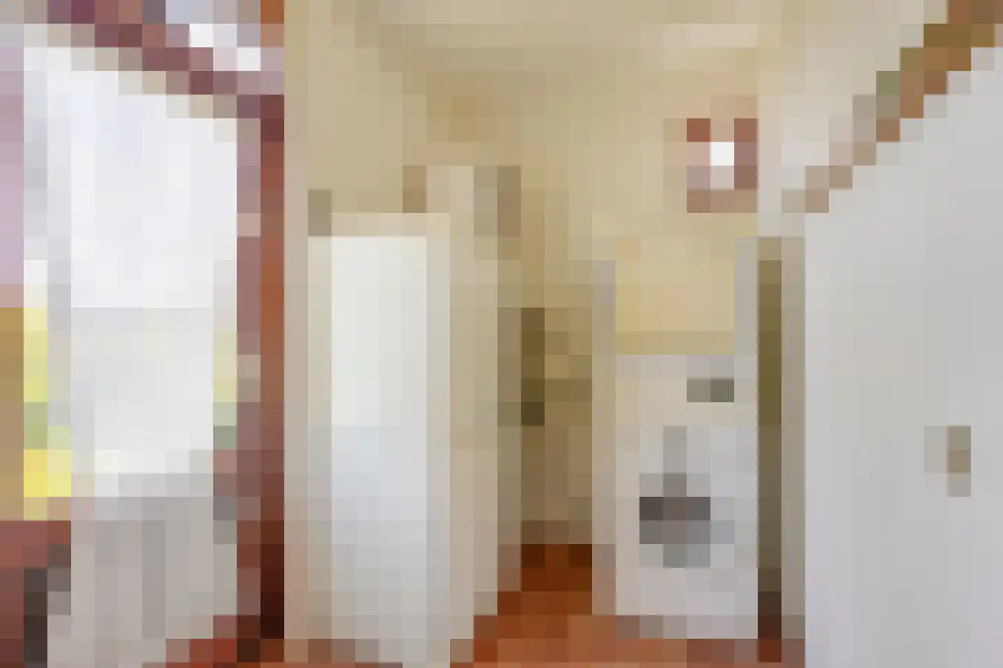 Johanniterweg 19 Utrecht thumbnail 31