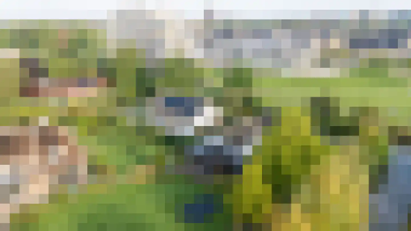 Johanniterweg 19 Utrecht thumbnail 57
