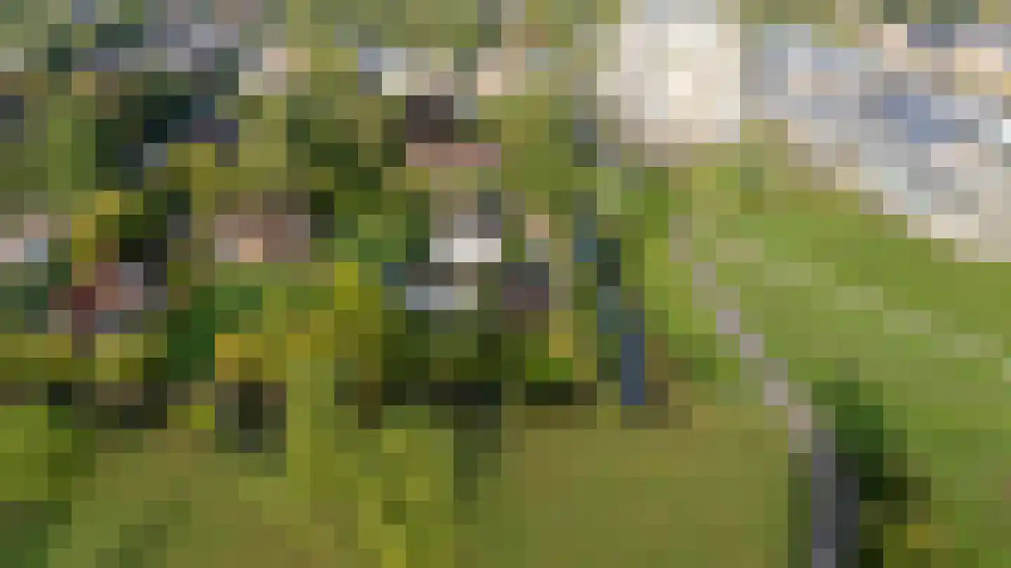 Johanniterweg 19 Utrecht thumbnail 58