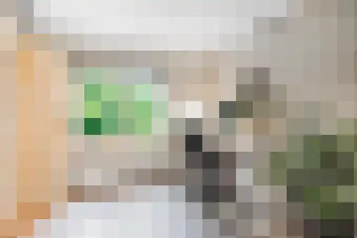 Johanniterweg 28 Doorwerth thumbnail 18