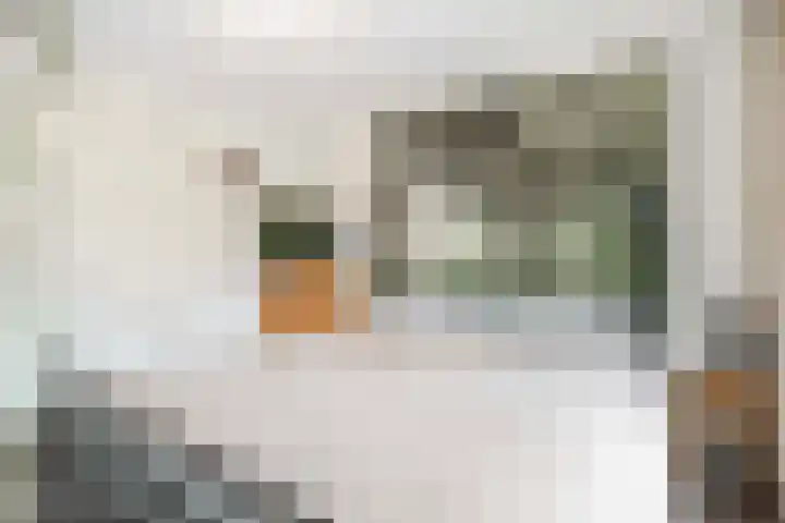 Johanniterweg 28 Doorwerth thumbnail 22