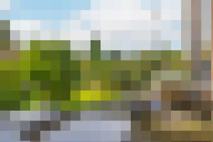 Johanniterweg 28 Doorwerth thumbnail 32