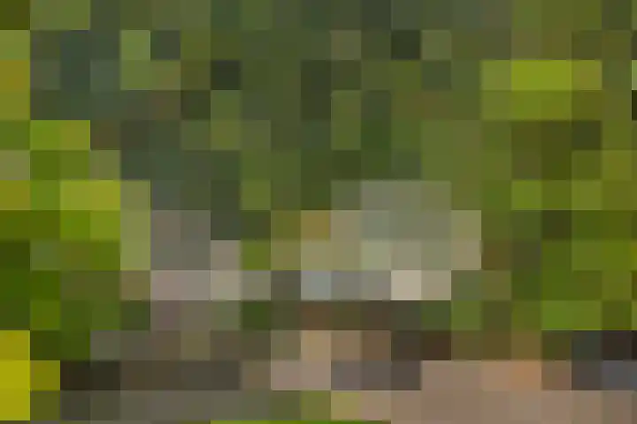 Johanniterweg 28 Doorwerth thumbnail 34