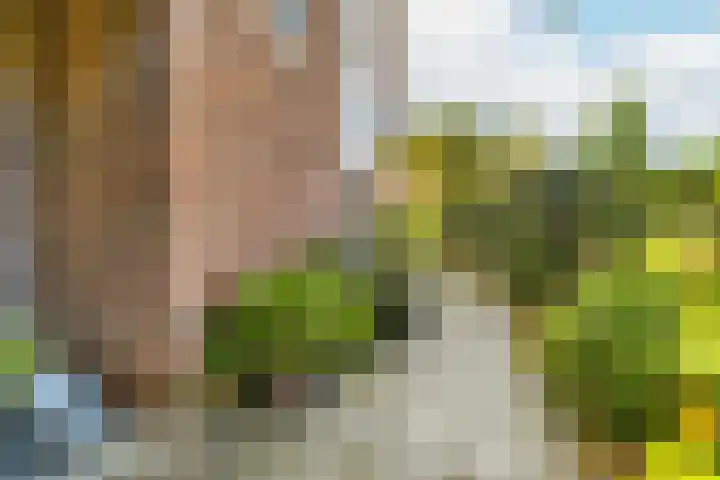 Johanniterweg 28 Doorwerth thumbnail 36