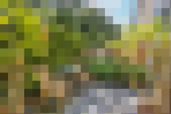 Johanniterweg 28 Doorwerth thumbnail 37
