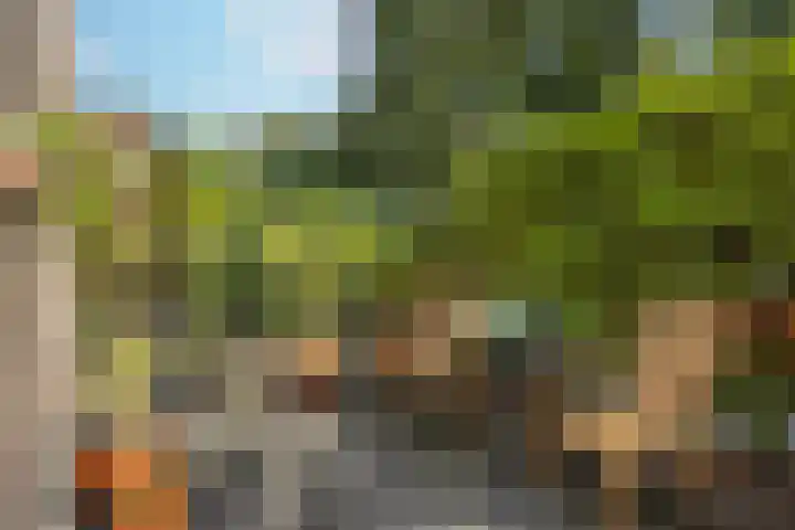 Johanniterweg 28 Doorwerth thumbnail 38