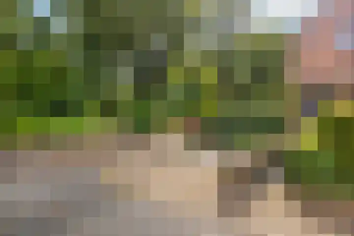 Johanniterweg 28 Doorwerth thumbnail 41