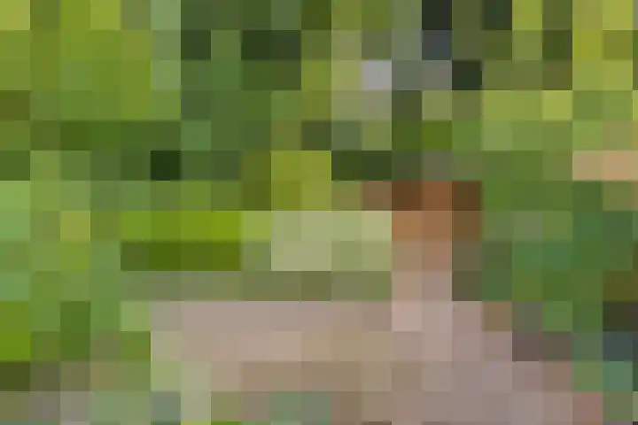 Johanniterweg 28 Doorwerth thumbnail 42
