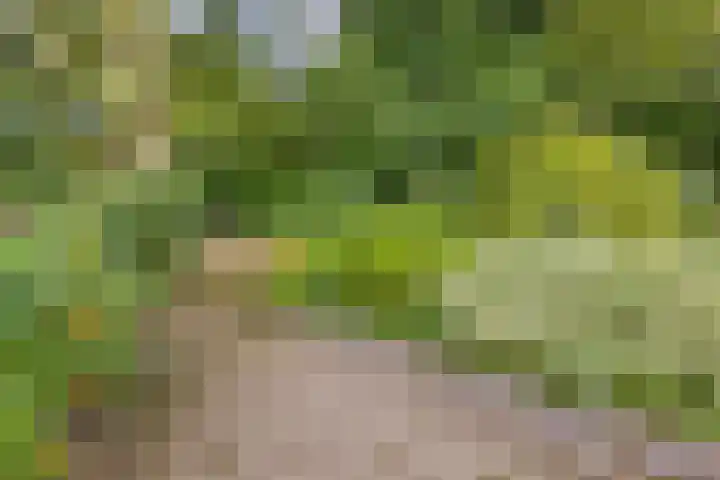 Johanniterweg 28 Doorwerth thumbnail 43