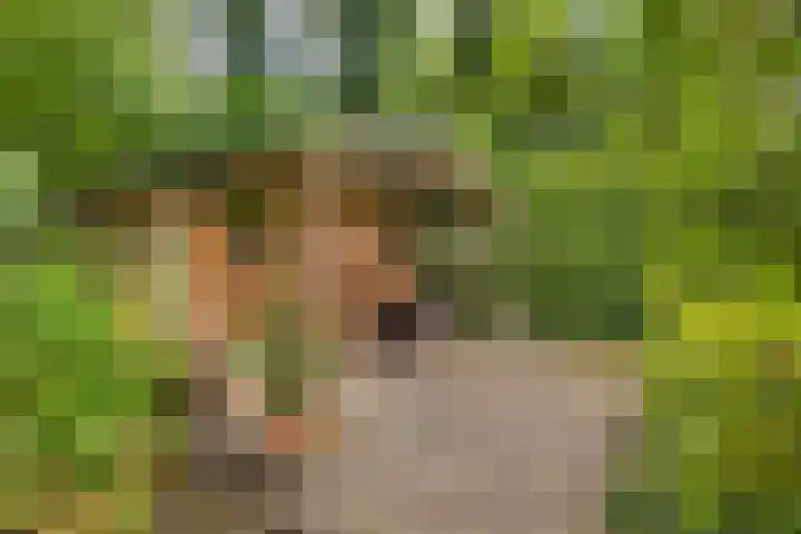 Johanniterweg 28 Doorwerth thumbnail 44