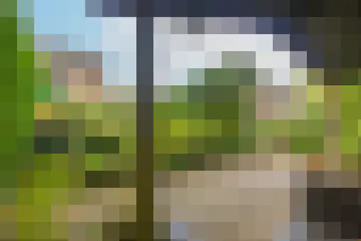 Johanniterweg 28 Doorwerth thumbnail 45