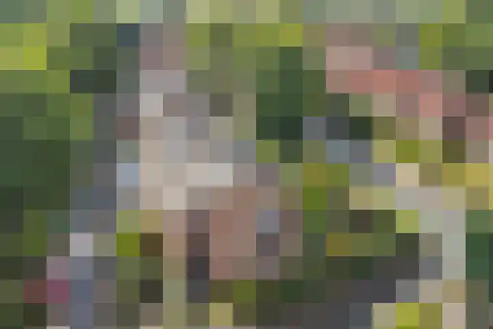 Johanniterweg 28 Doorwerth thumbnail 46