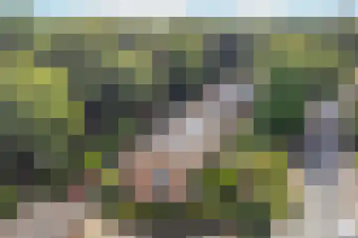 Johanniterweg 28 Doorwerth thumbnail 47