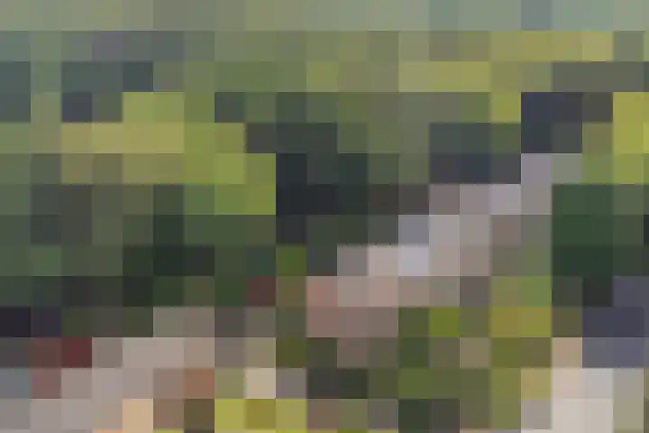 Johanniterweg 28 Doorwerth thumbnail 48