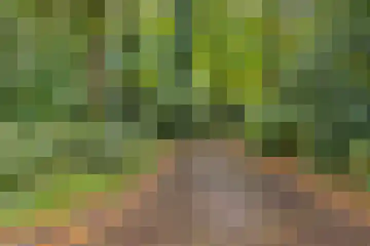 Johanniterweg 28 Doorwerth thumbnail 50