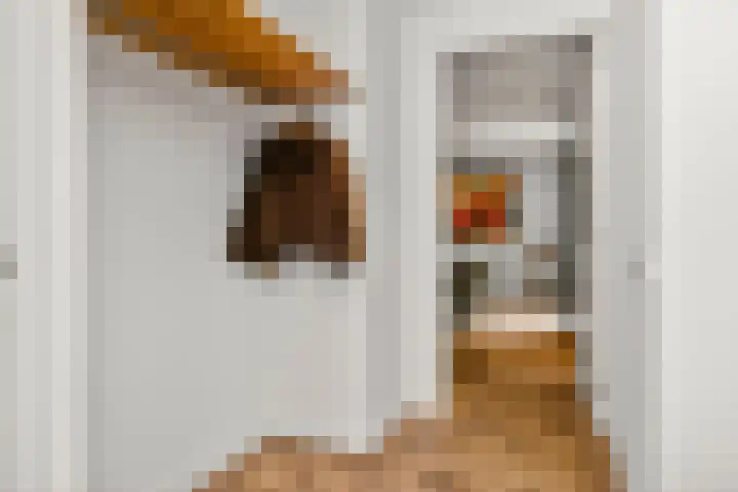 Johanniterweg 3 B Utrecht thumbnail 13