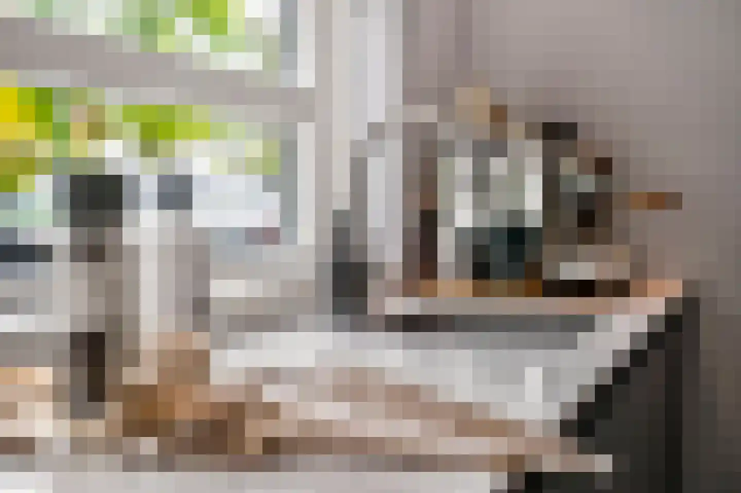 Johanniterweg 3 B Utrecht thumbnail 30