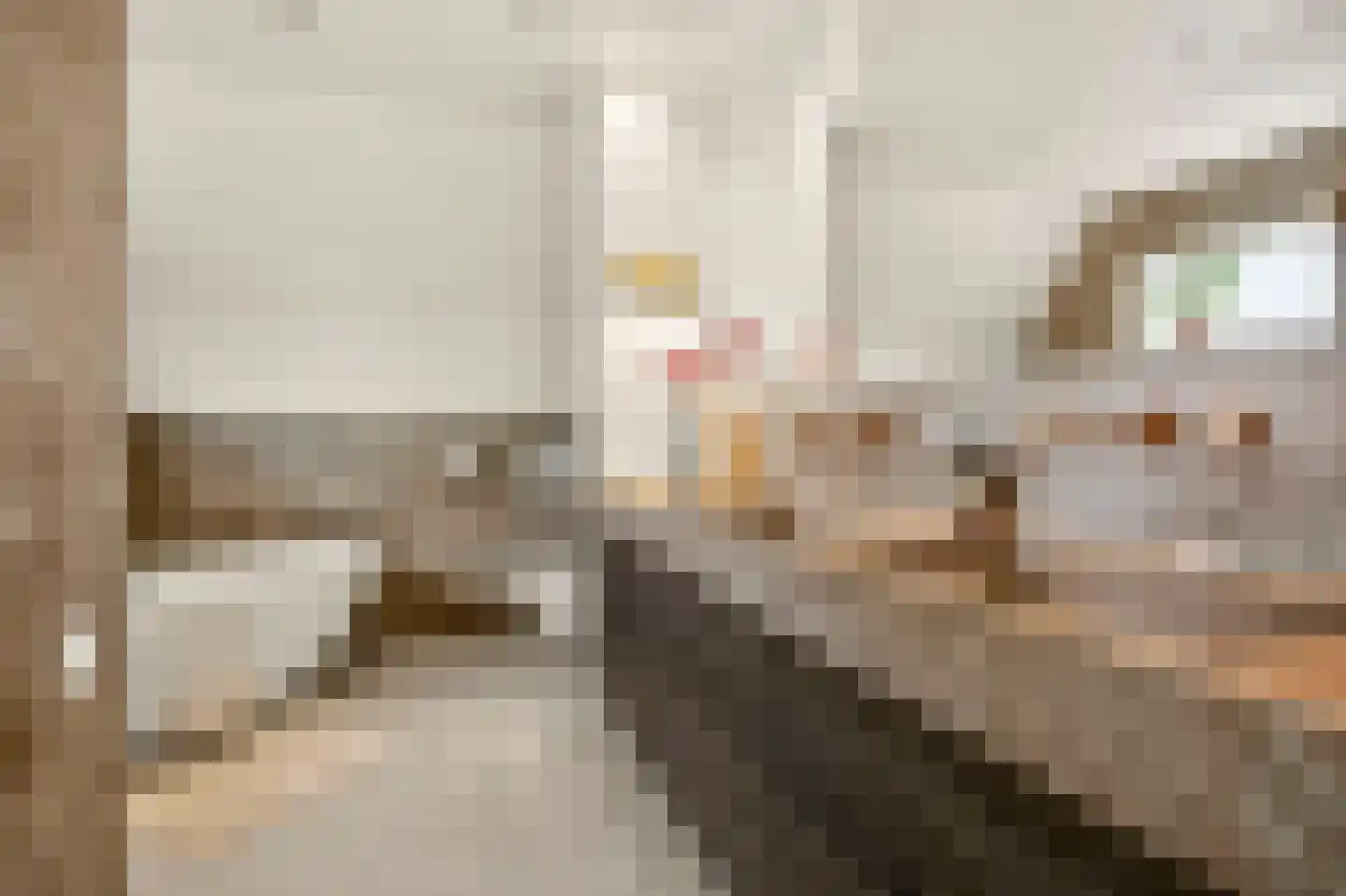 Johanniterweg 3 B Utrecht thumbnail 44