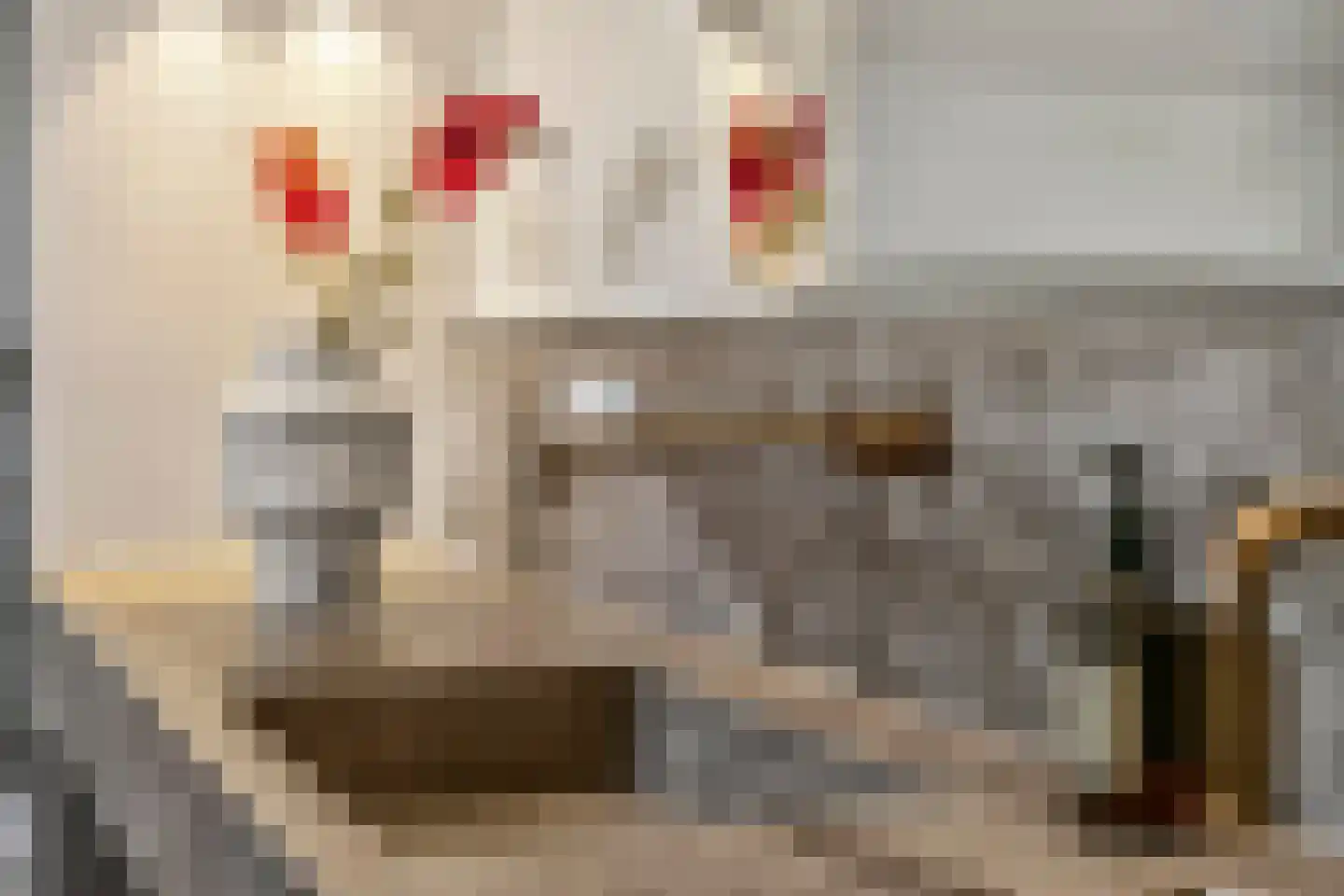 Johanniterweg 3 B Utrecht thumbnail 45