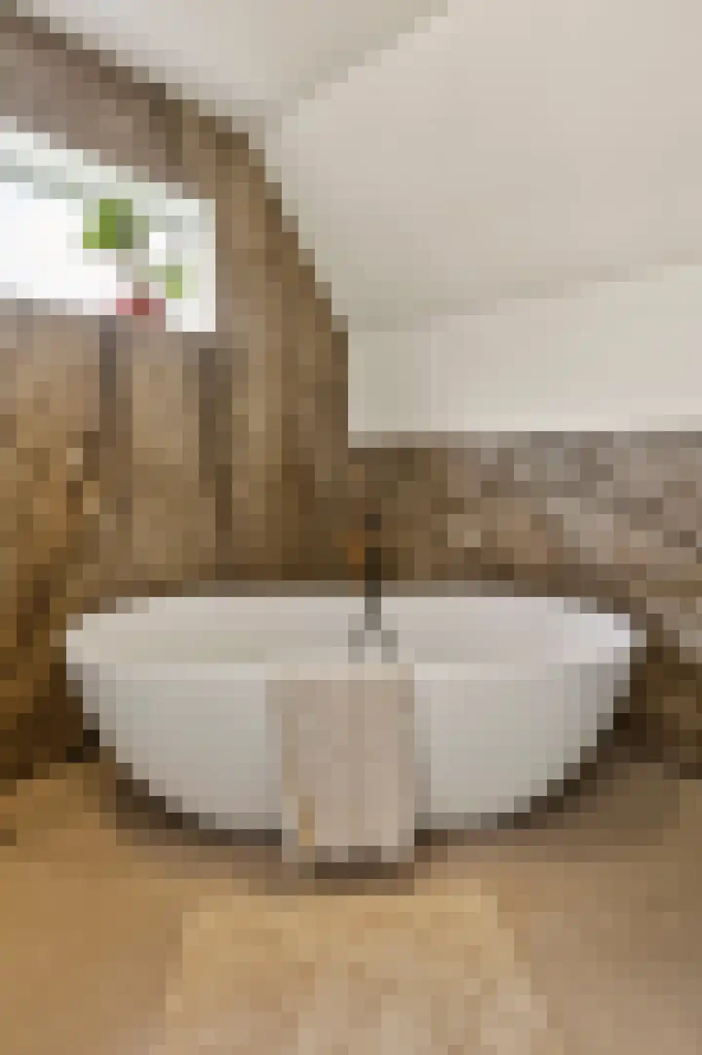 Johanniterweg 3 B Utrecht thumbnail 46