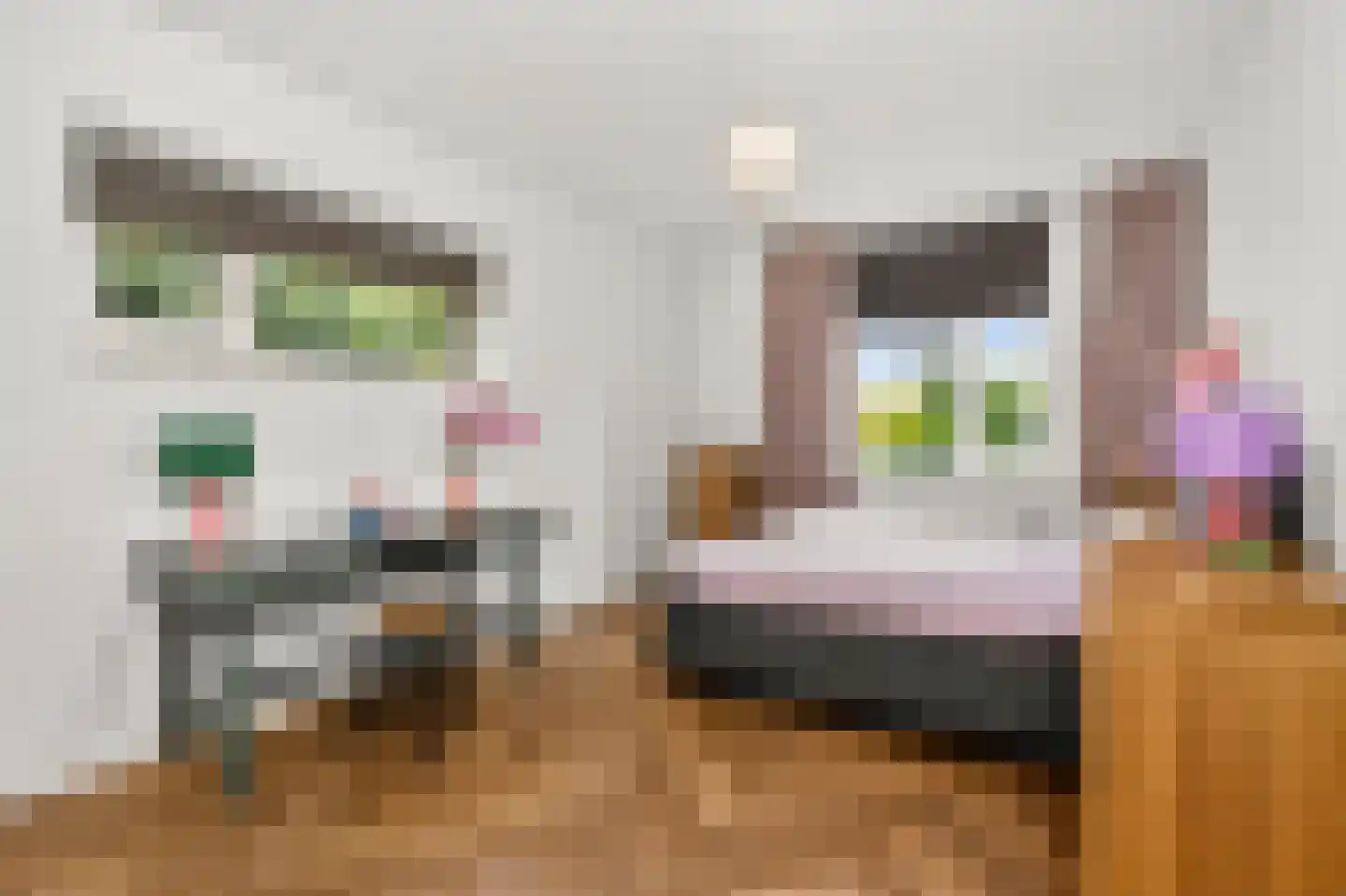 Johanniterweg 3 B Utrecht thumbnail 52