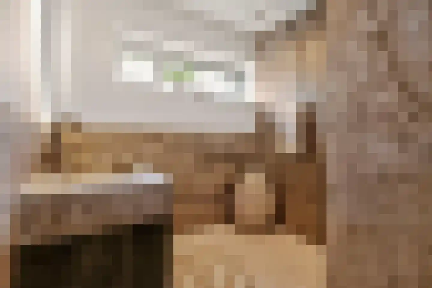 Johanniterweg 3 B Utrecht thumbnail 57