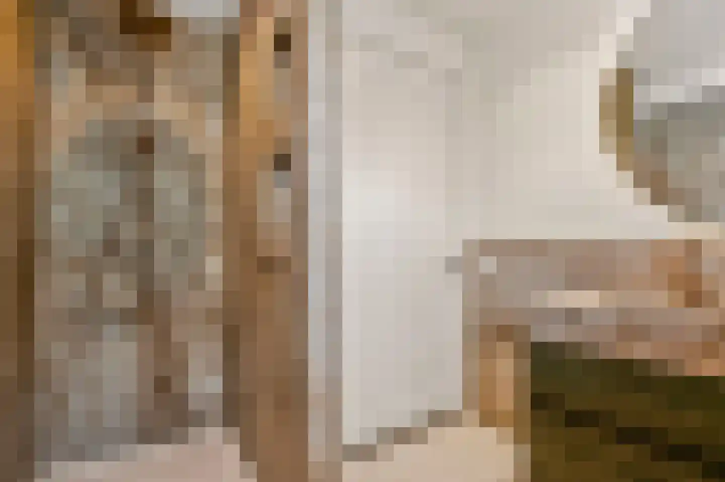 Johanniterweg 3 B Utrecht thumbnail 58