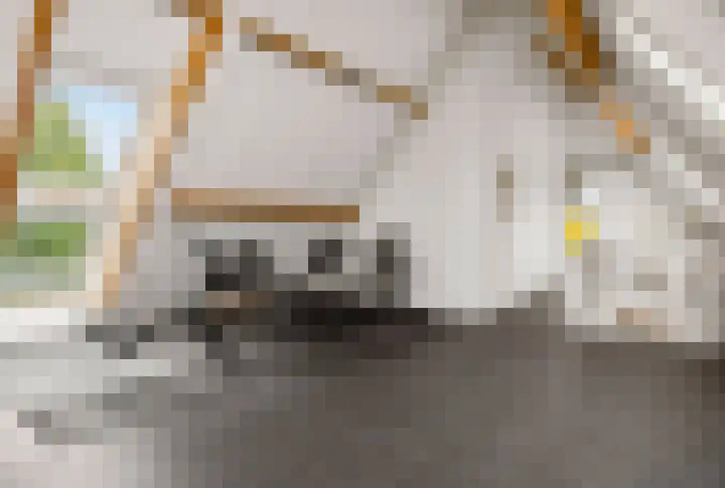 Johanniterweg 3 B Utrecht thumbnail 62