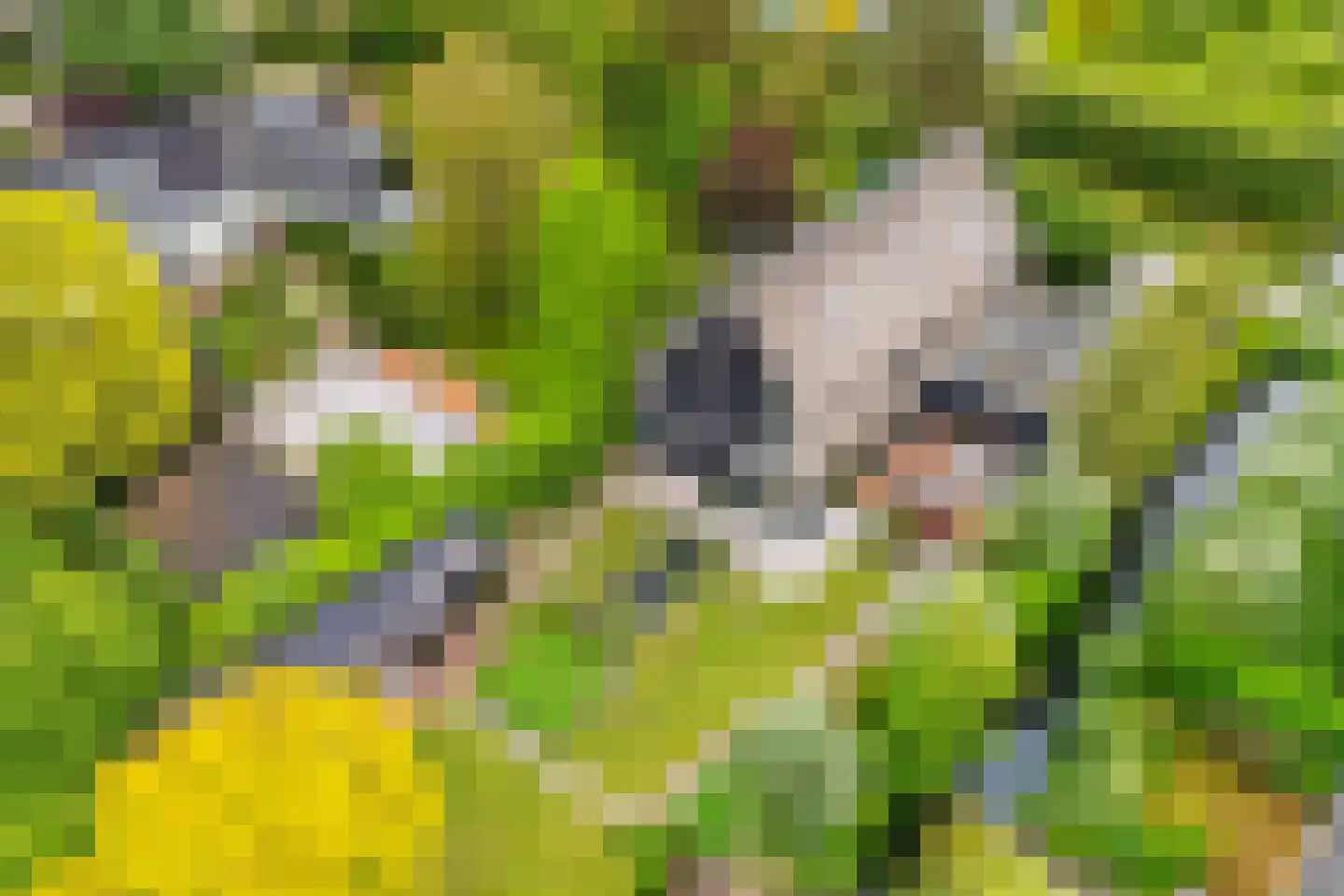 Johanniterweg 3 B Utrecht thumbnail 65