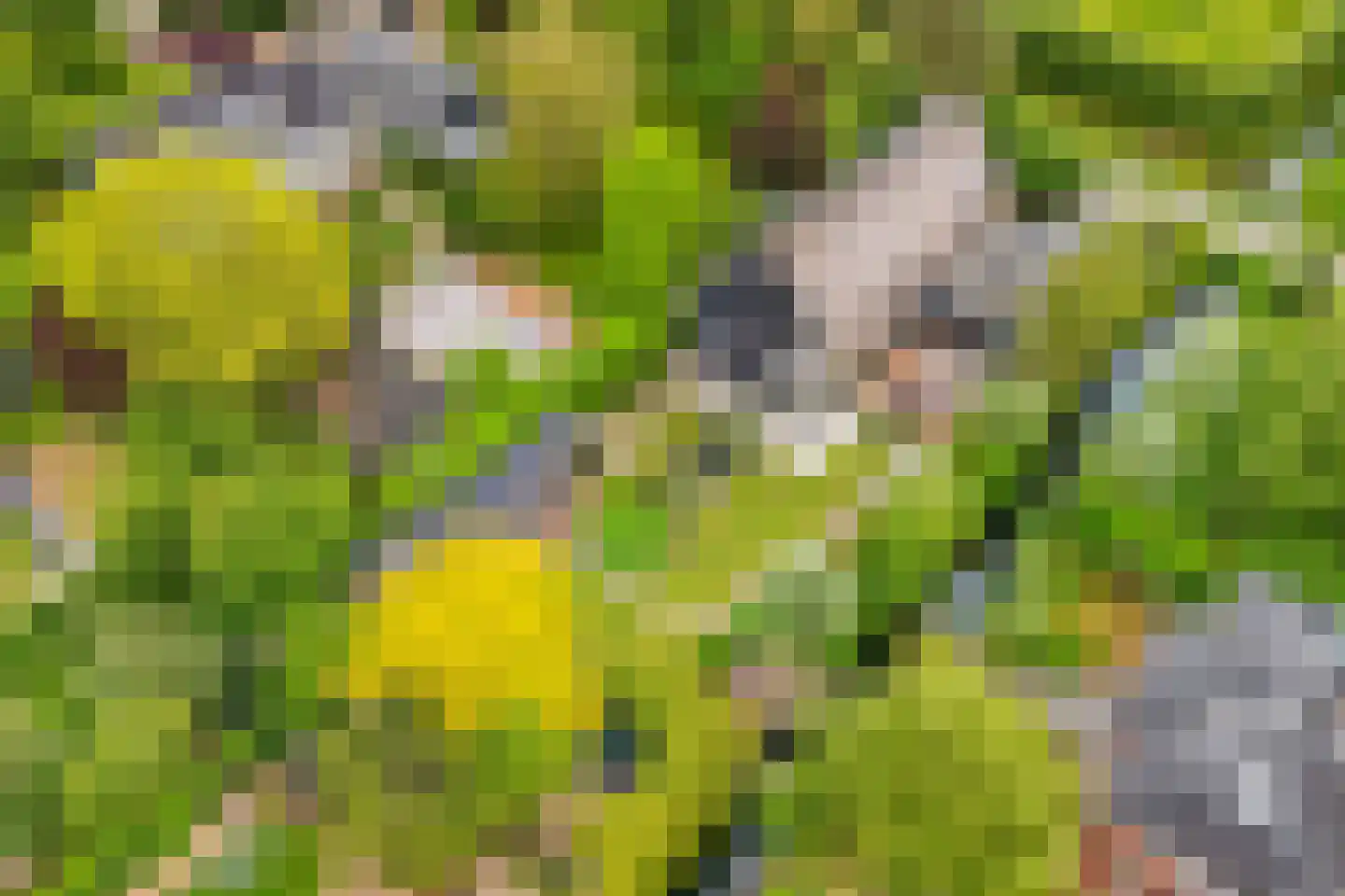 Johanniterweg 3 B Utrecht thumbnail 66