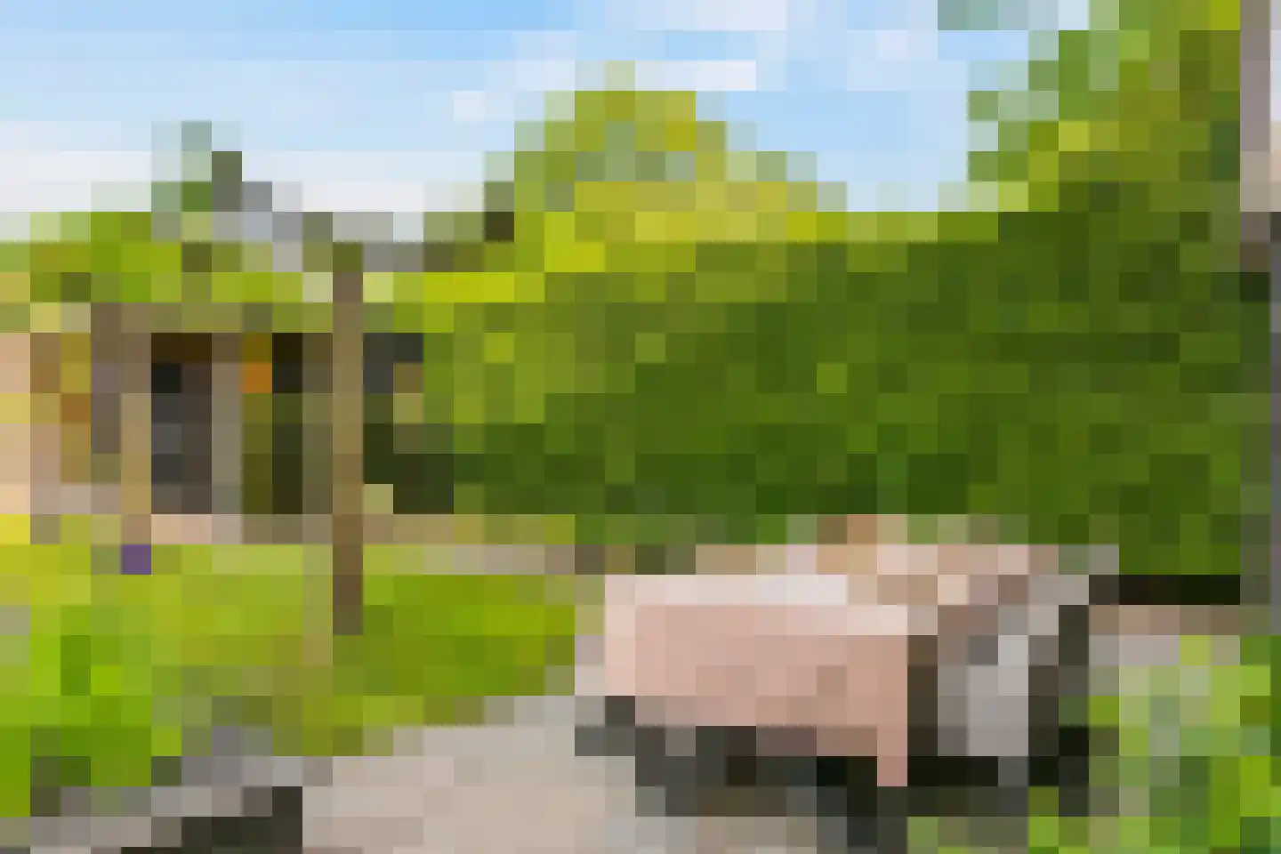 Johanniterweg 3 B Utrecht thumbnail 83