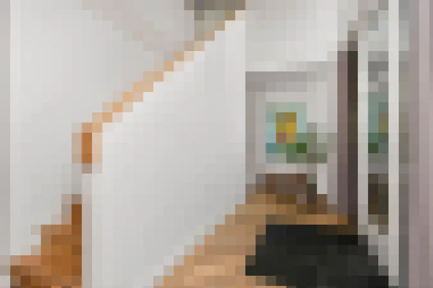 Johanniterweg 3 B Utrecht thumbnail 9