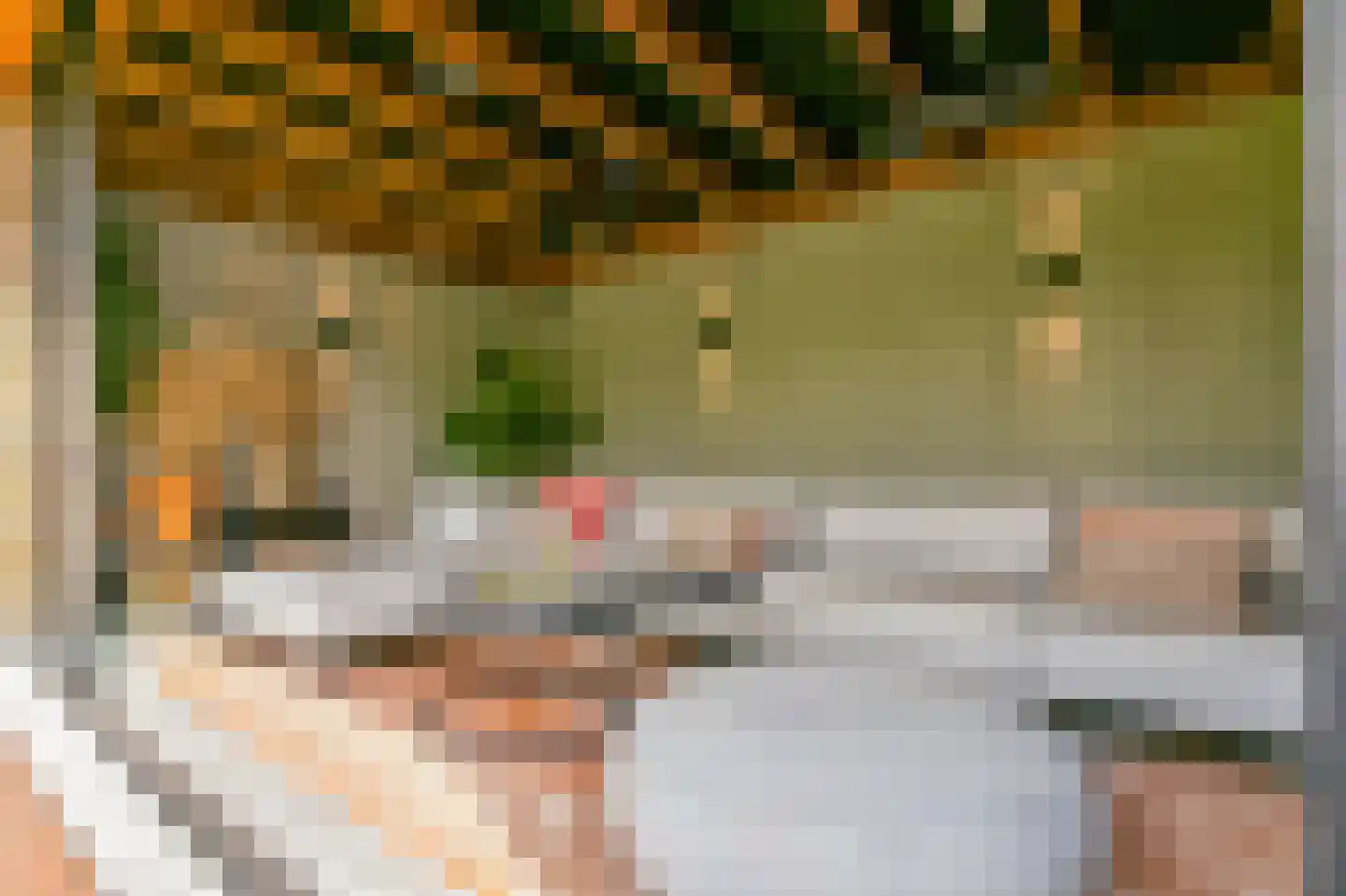 Johanniterweg 3 B Utrecht thumbnail 92