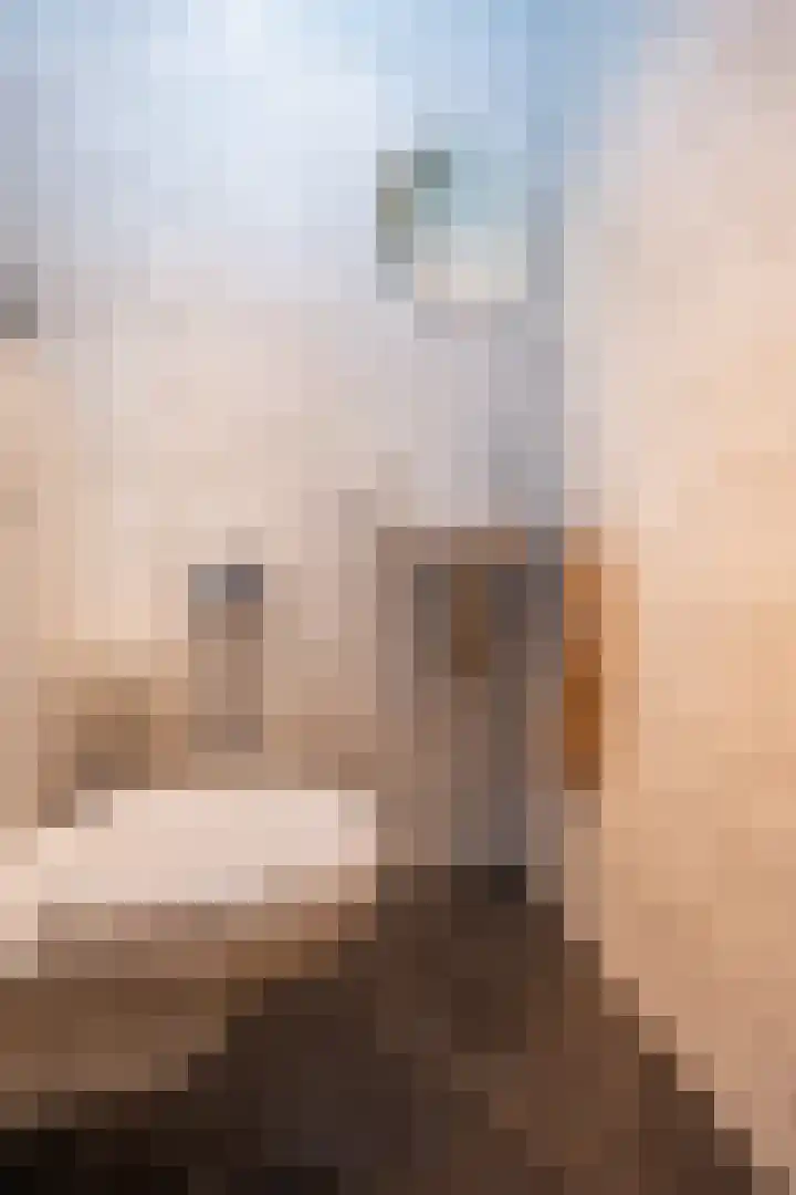 Johannushof 18 Nijmegen thumbnail 19