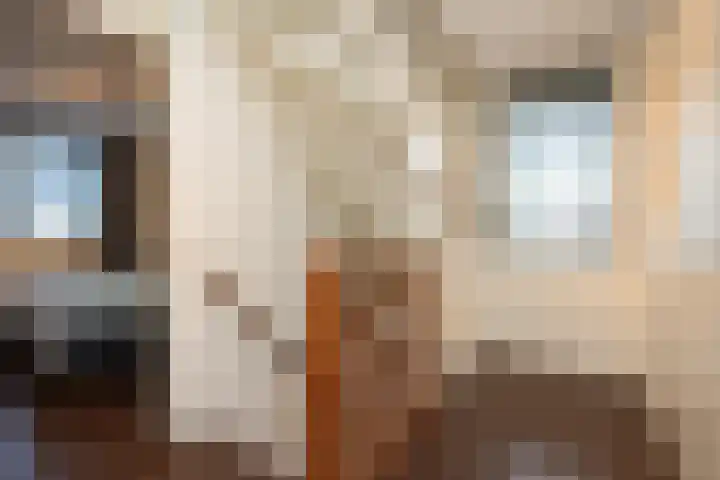 Johannushof 18 Nijmegen thumbnail 20