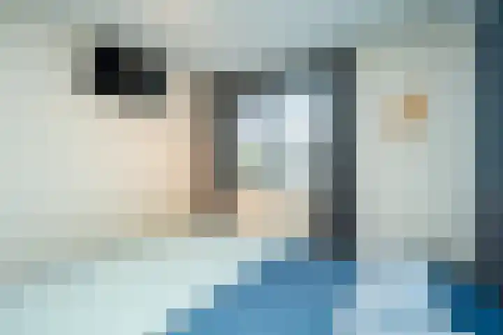 Johannushof 18 Nijmegen thumbnail 22