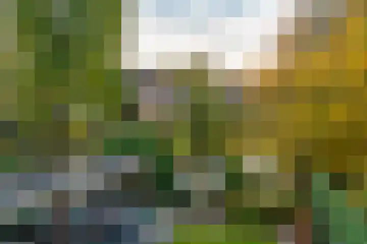 Johannushof 18 Nijmegen thumbnail 26