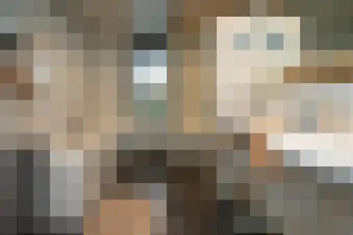 Johannushof 18 Nijmegen thumbnail 28