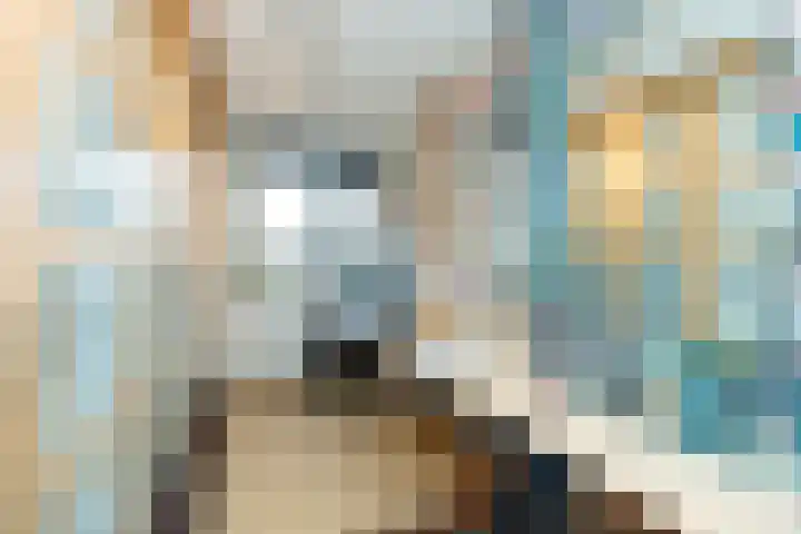 Johannushof 18 Nijmegen thumbnail 33