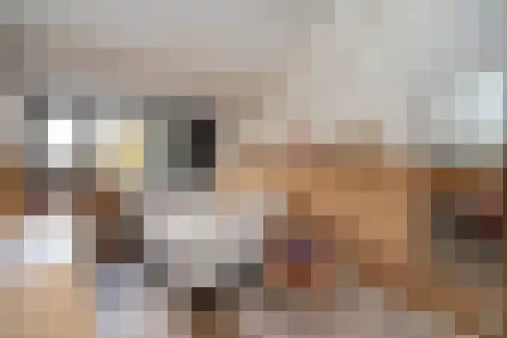 Johannushof 18 Nijmegen thumbnail 37