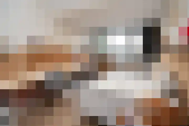 Johannushof 18 Nijmegen thumbnail 38