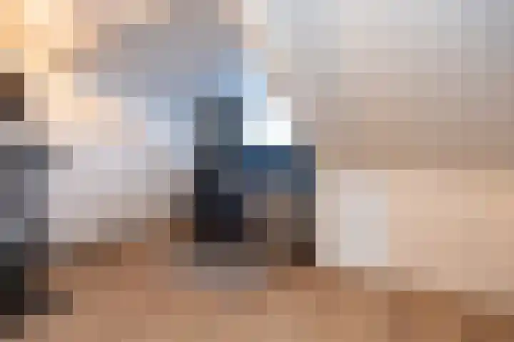 Johannushof 18 Nijmegen thumbnail 40